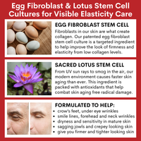 Infographic with the three ingredients and text explanation of the benefits of  the Ovaco Lenclos EF Ampoule